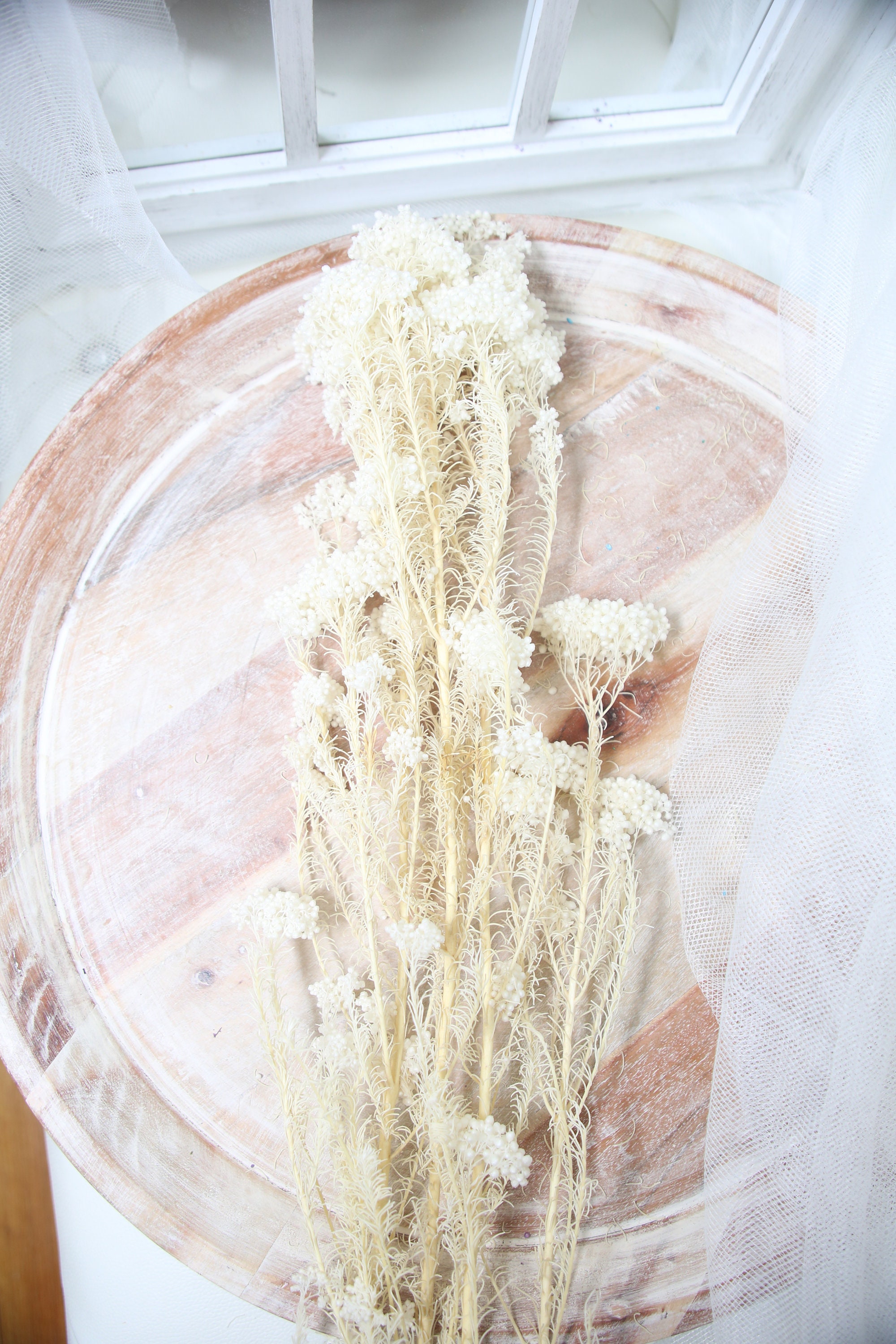 Preserved rice flower,  various color of rice flowers, filler, dried flower filler, white dried flowers