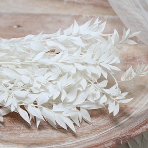 Preserved Ruscus in Off White Pack, DIY Floral Arrangements, DIY Home Décor, Dried Vase Bouquet, Home Decor