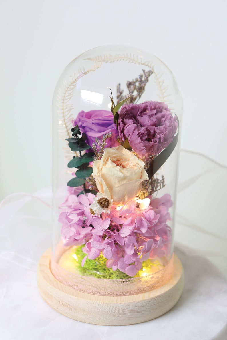 LED Glass Dome Tabletop Display Case Led Glass Dome Glass Etsy