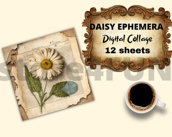 Daisy digital collage, junk journal kit, Daisy collage sheet, digital collage, paper, vintage, digital download, Daisy ephemera scrapbooking