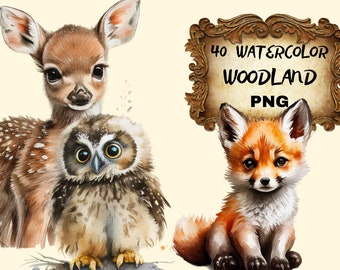 40x Watercolor Woodland Baby animals Clipart Bundle, Clipart woodland, Commercial Use, cute owl png, fox png, deer png, owl png, rabbit png