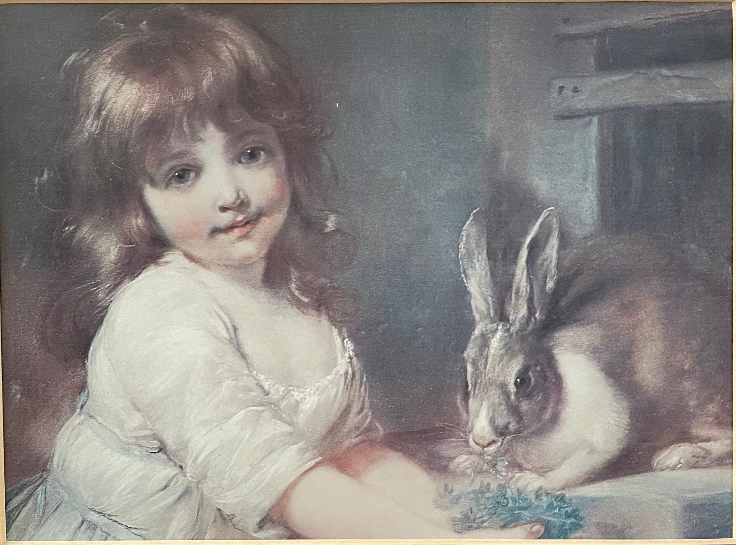 Woman Rabbit Meadow Woman Feeding Rabbits