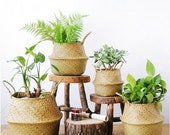 Natural Seaweed Woven Storage Gardening Planter Pot Basket