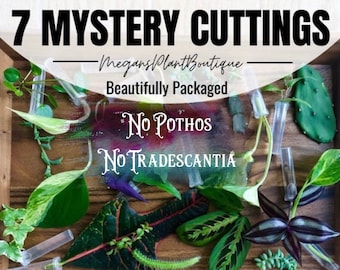7 Mystery Cuttings | NO Pothos NO Tradescantia | 7 Unrooted Cuttings | Plant Propagation Mystery Box | I Ship Monday-Wednesday