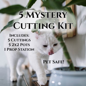 5 Pet Safe Mystery Cutting Kit | Shipping Mon-Wed