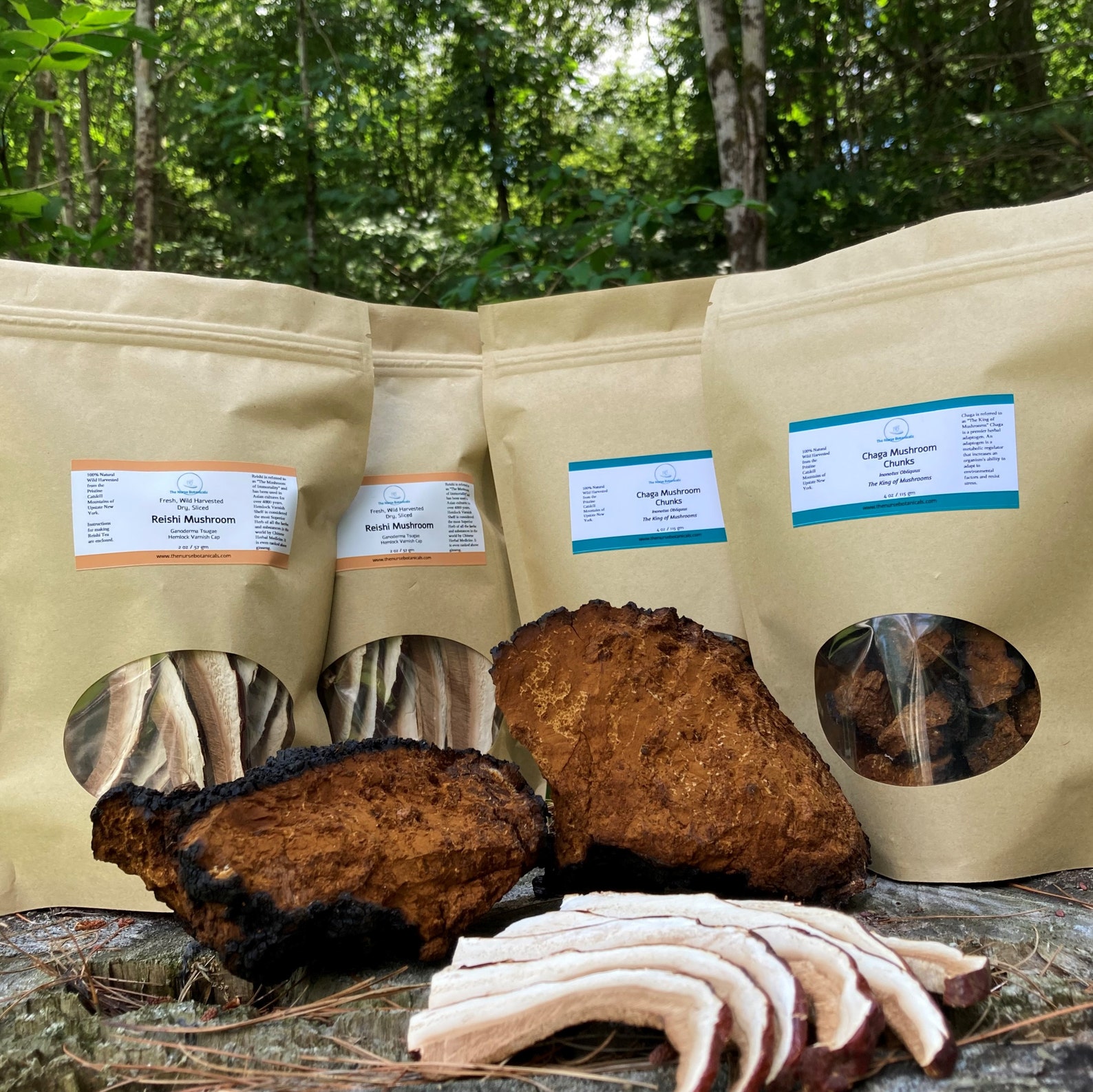 Extrait De Champignon Chaga 500 Mg Tecepec - Soutien Immunitaire Et Cardiaque, 2 Ans De Conservation
