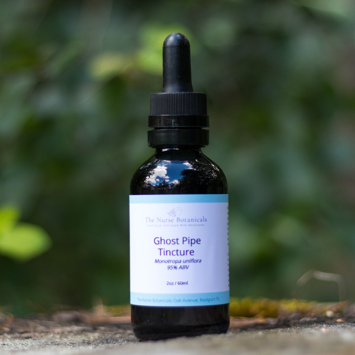 Ghost Pipe Tincture Etsy