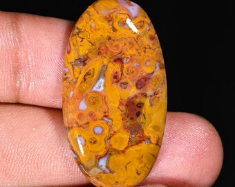 Natural Palm Root Agate Oval Shape Cabochon Loose Gemstone For Making Jewelry 34.90 Ct 38X21X5 MM OV-834