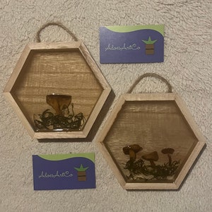 mushroom wood wall hangings