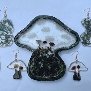 Mushroom collection