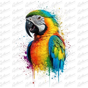 Colorful Watercolor Parrot Digital Design Download, Tropical Bird Wall Art, Vibrant Macaw Print, Rainbow Parrot Design, Printable Animal