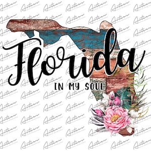 Florida in My Soul transparante PNG Clipart - Florida sublimatie - Florida kleurrijke schuur hout - staat Florida - Florida sublimatie graphics