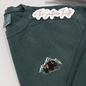 Bison Outdoor Sweatshirt - Nature Lover Gift - Unique Outdoor Apparel, Montana sweatshirt, Colorado Bison Embroidered Gift for Nature Lovers