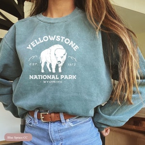 Comfort Colors OR Gildan Yellowstone Sweatshirt, Cowboys Sweatshirt, Yellowstone Park, Yellow Stone Gift, Cactus Sweatshirt, Cowgirl Sweats