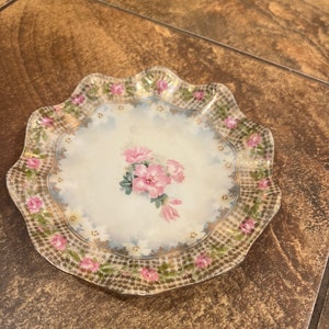 1870-1919 RS Prussia hand painted - Berry Bowls, Hand Painted Decorative Bowl, Superb Condition