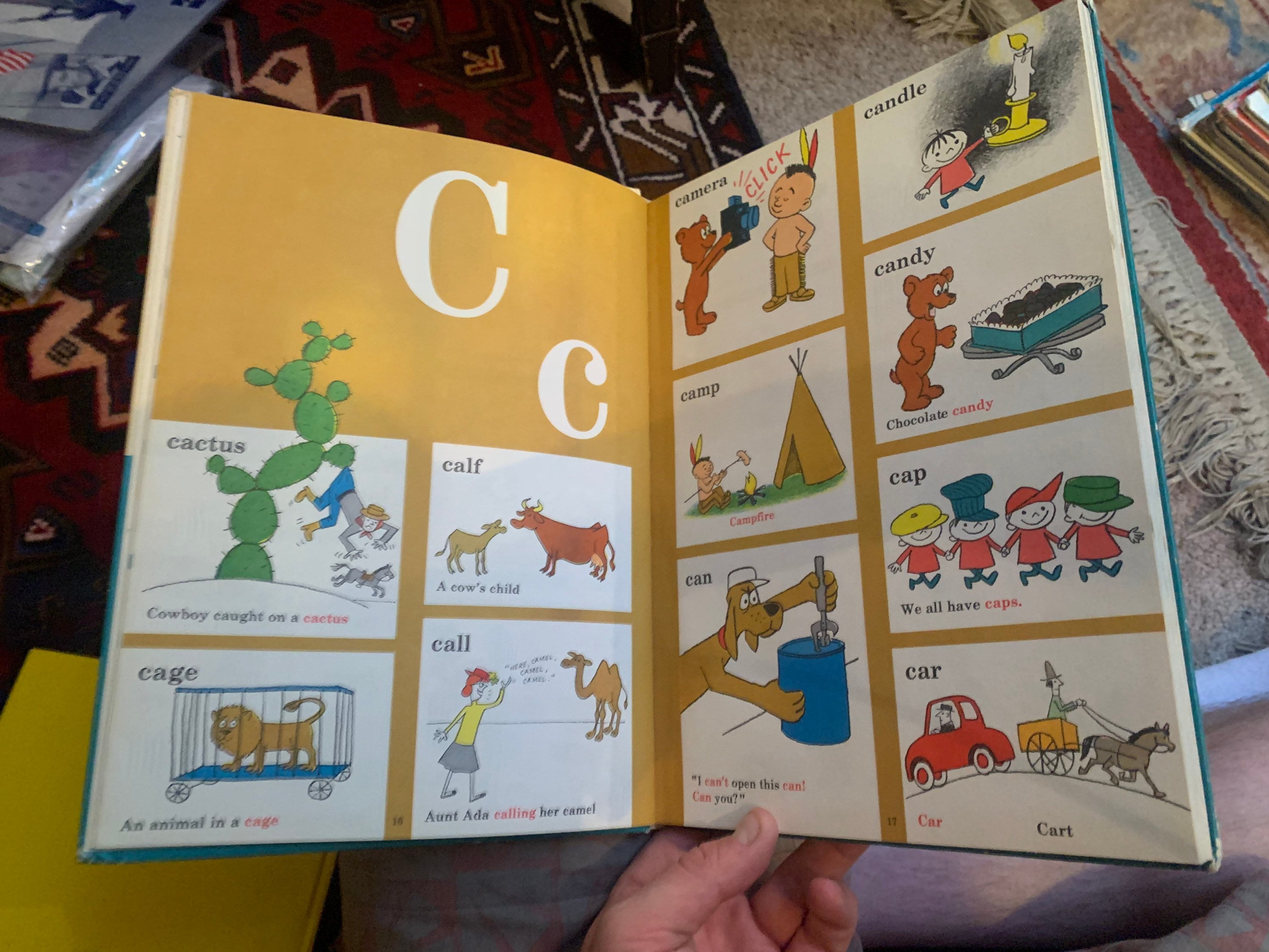 The Cat in the Hat Beginner Book Dictionary by the Cat
