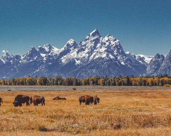 Grand Teton National Park