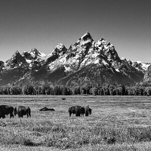 Grand Teton Mountain Range B&W