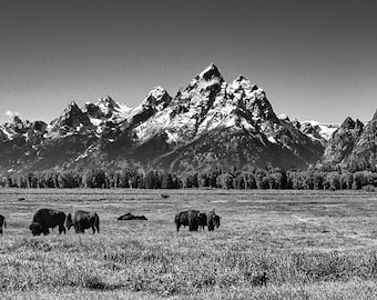 Grand Teton Mountain Range B&W