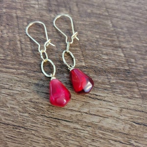 Ruby Pomegranate Seed Earrings Siam Red Garnet