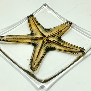 Handmade Hand Painted Fused Glass Starfish Dish