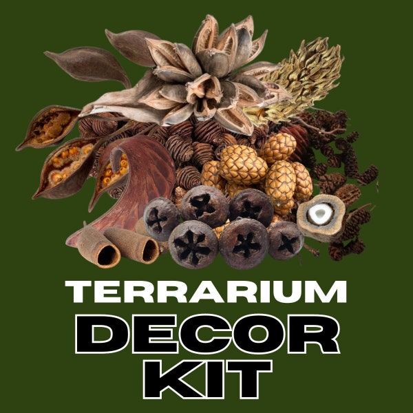 Terrarium Decor Kit - Hardscape - Biotope Natural Seed Pods -  Organic Decorations for Aquariums, Vivariums & Terrariums -  Dried Botanicals