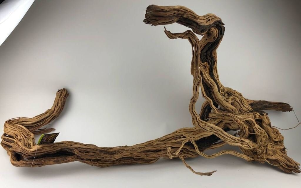 Dragon Root Etsy