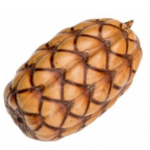 Raffia sale palm nut