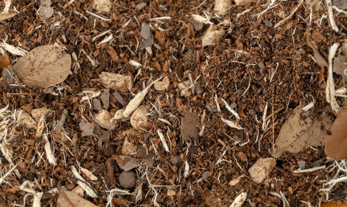 Caclium Enriched Isopod Substrate Etsy