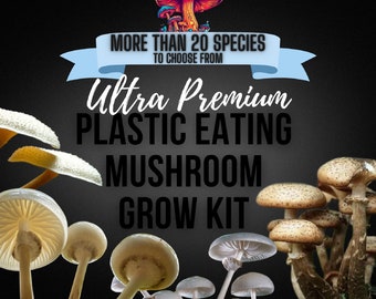 Plastic Eating Mushroom Growing Kit - Pestalotiopsis microspora - DIY Spawn Spore Plugs Mushroom Grow Kit with gift Box - Fungi Cultivation