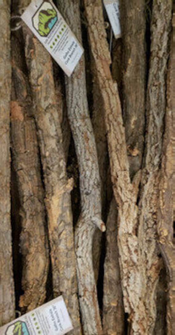 Cork Branches Thin Cork Wood Straight Poles Climbing Woods for Reptile Enclosures Terrarium and Vivarium Decor Reptiles Tank Decor