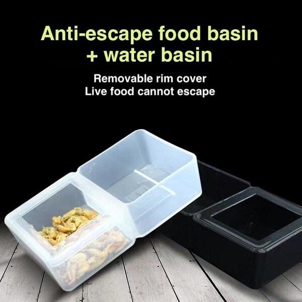 Reptile Food Bowl Etsy