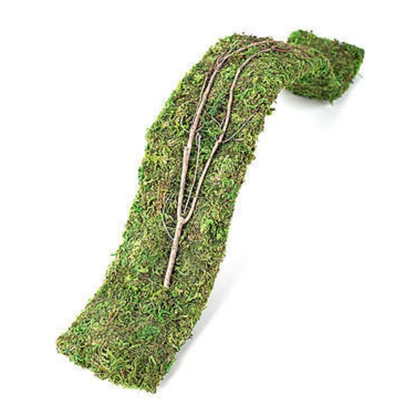 Terrarium Bridge Etsy