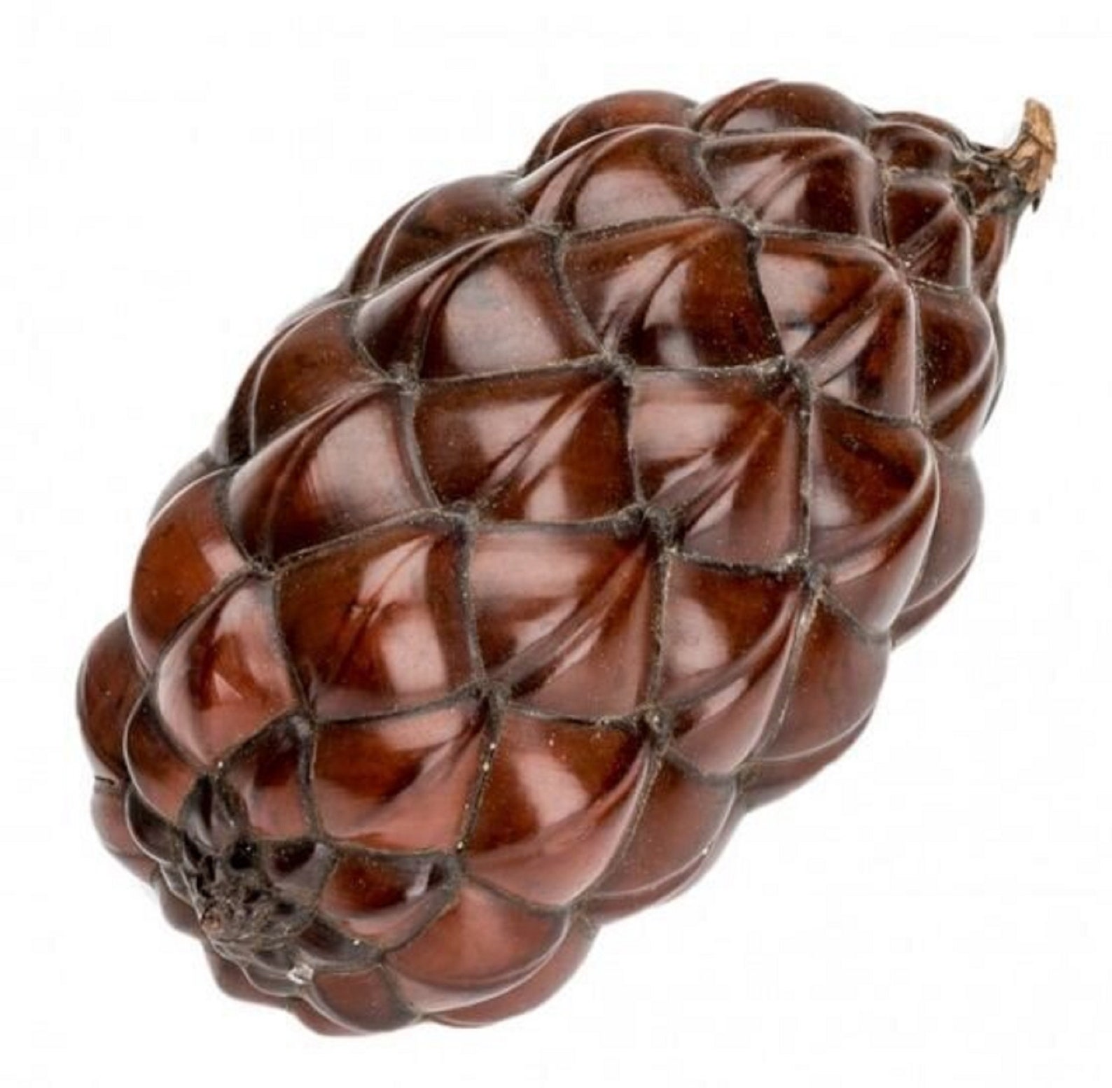 Thika Pod Decorative Palm Fruit Thika Nut Beautiful Brown-red Shell
