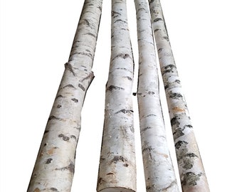 Birch Tree Pole - Birch Branch - Wooden Birch - Reptile Hide - Vivarium and Aquarium Decor - Reptile Tank Decor - Wood for Reptile Habitat