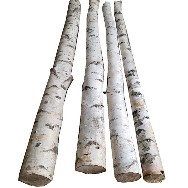 Birch Tree Pole - Birch Branch - Wooden Birch - Reptile Hide - Vivarium and Aquarium Decor - Reptile Tank Decor - Wood for Reptile Habitat