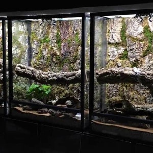Natural Cork Background - Dried Botanicals - Paludarium Decor - Reptiles Tank Decor - Terrarium Orchids - Natural Decorative Cork