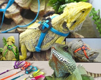 Iguana accessories cheap