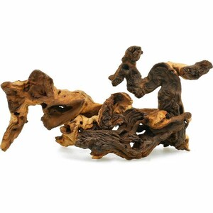 Mopani Wood - Wood for Reptile Habitat - Reptile Decor - Hardwood for Aquarium - African Mopani - Aquarium Driftwood - Terrarium Decor