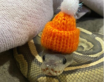 Beanie / Toque for Reptiles - Knit Beanies for Snakes, Hedgehogs and Small Pets - Clothing Accessories and Party Gift for Reptile Lovers