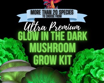 Glow in the Dark Mushroom Growing Kit - Panellus stipticus- DIY Bioluminescent Glowing Mushrooms Spawn Spore Plugs Grow Kit with Gift Box