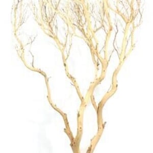 Sandblasted Manzanita Branch - Manzanita Aquarium - Sandblasted Aquarium - Unique Terrarium Decor - Reptile Hide - Decorative Branches