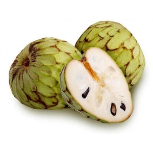 The common name for this is Annona cherimola (Cherimoya Custard Apple).Other Common names for this  Rare Fruit Species are: Cherimoya Custard Apple: Custard Apple, Chirimoya. We only sell rare seeds of rare plants.