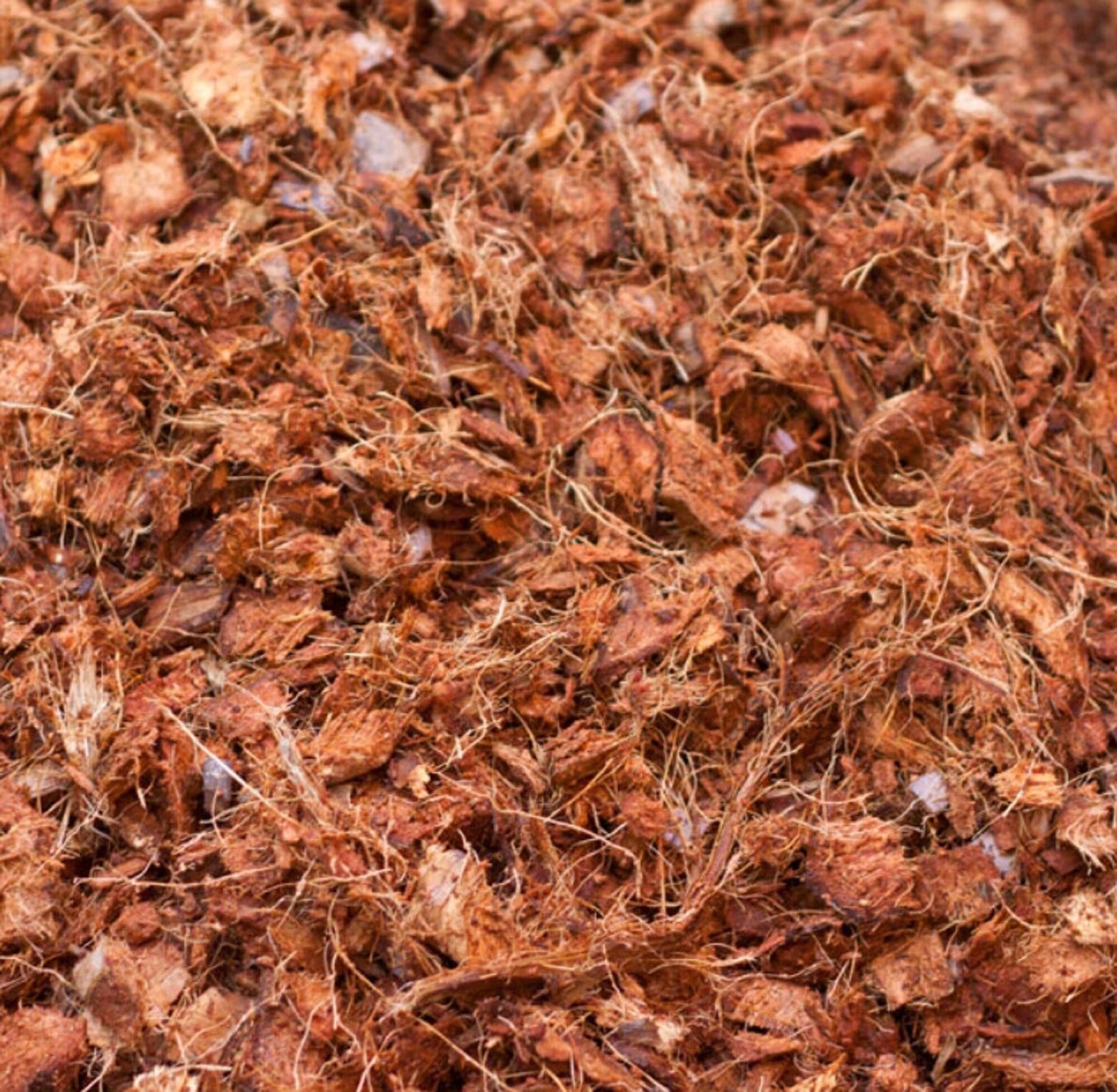 coconut soil bedding