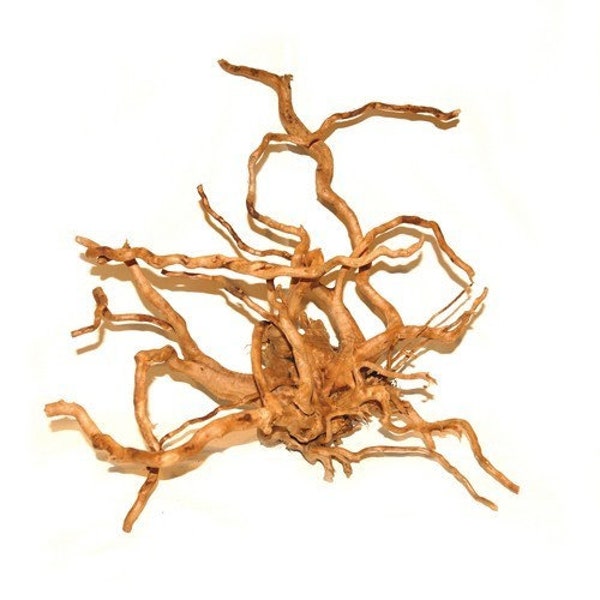 Spider Wood - Natural Wood Carvings - Reptile Decor - Reptile Hide - Reptile Enclosure Driftwood - Aquariums Decor - Vivariums Decor