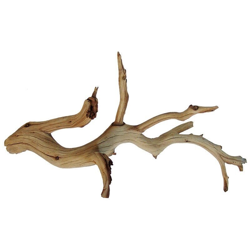 Exotic Manzanita Wood Home and Garden Decor Reptile Etsy