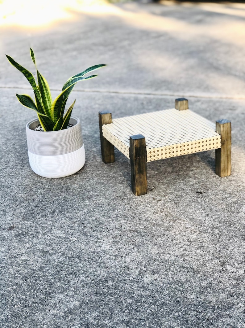 Midcentury Modern Style Indoor Plant Stand With Cane bing Etsy