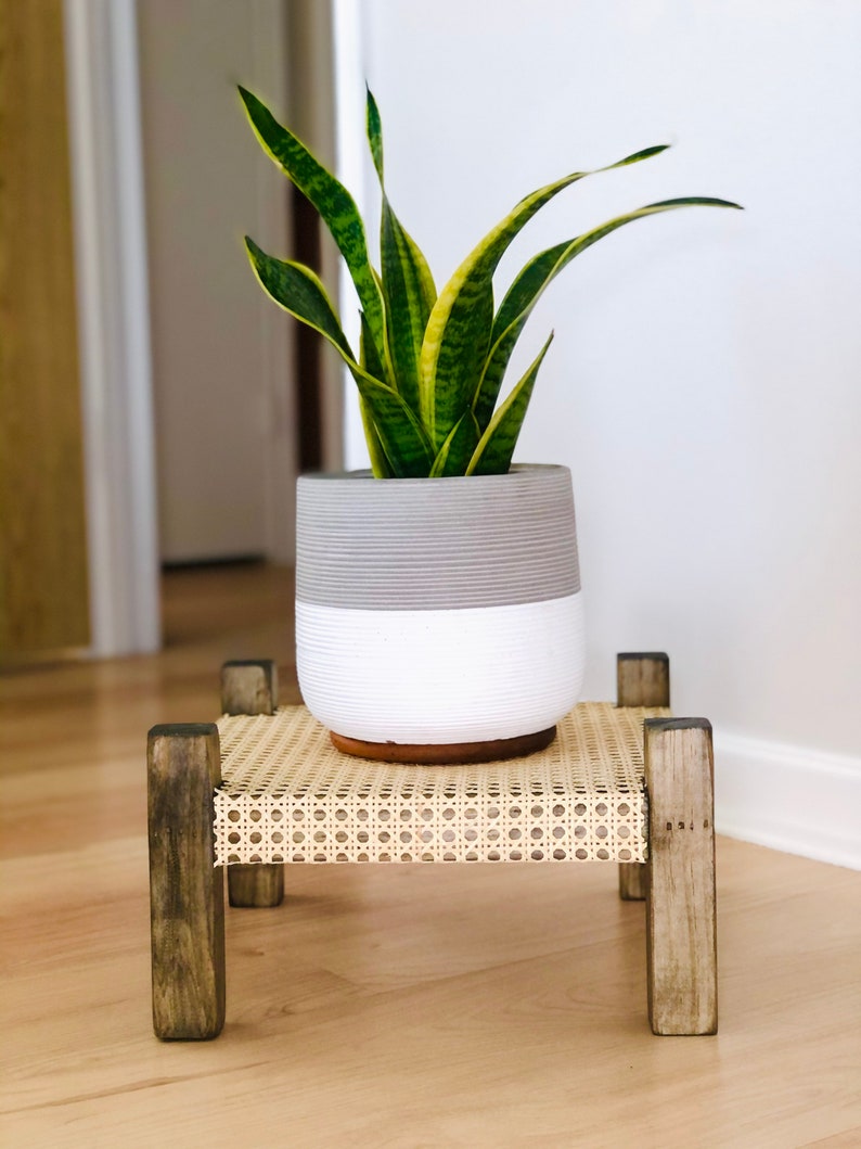 Midcentury Modern Style Indoor Plant Stand With Cane bing Etsy