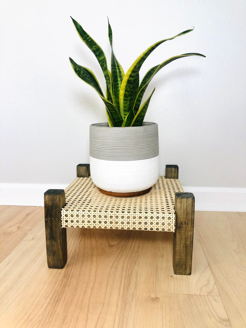 Midcentury Modern Style Indoor Plant Stand With Cane bing Etsy