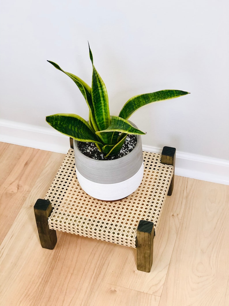 Midcentury Modern Style Indoor Plant Stand With Cane bing Etsy